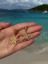 Load image into Gallery viewer, Sea Stars in the Sea Earrings