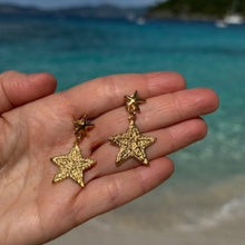 Load image into Gallery viewer, Sea Stars in the Sea Earrings