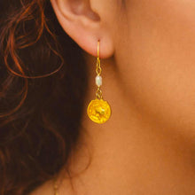 Load image into Gallery viewer, Fish & Fish Bowl cutest dangly Earrings