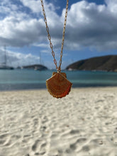 Load image into Gallery viewer, Golden Dream Scallop Shell Necklace