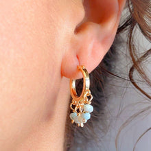 Load image into Gallery viewer, Best Bunch Hoops