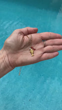 Load and play video in Gallery viewer, Golden Fishie Trio Necklace
