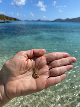 Load image into Gallery viewer, Pepe the Pelican charm Necklace