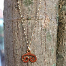 Load image into Gallery viewer, St. John Petroglyph Necklace
