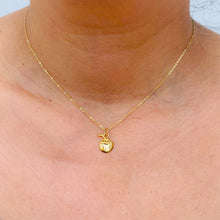 Load image into Gallery viewer, Coco Loco Coconut Necklace