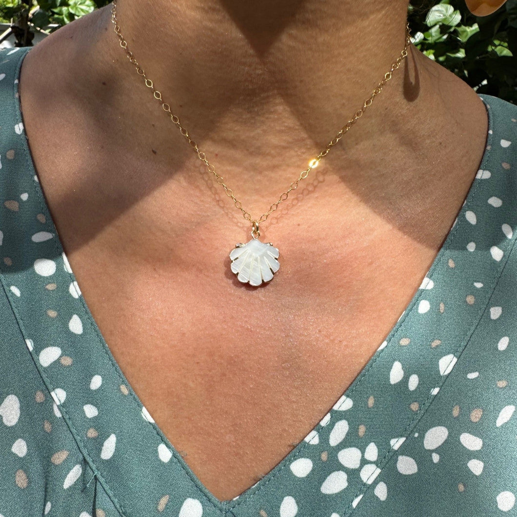 Scallop Shell Mother of Pearl