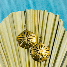 Load image into Gallery viewer, Golden Sand dollar Earrings
