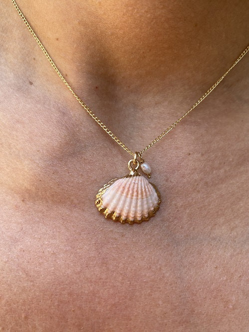 Small scallop shell Necklace